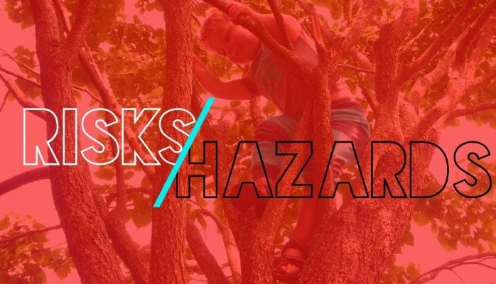 Risks vs. Hazards